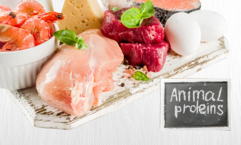 "Assorted animal protein sources with a sign reading 'Animal proteins