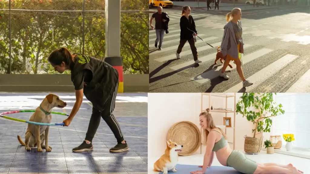 People exercising with dogs indoors, outdoors, and at home